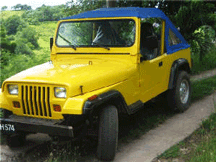 Handy Andy Rentals Bequia