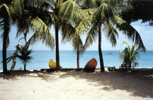 beach kayak