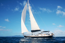 Octopus Yacht Charter Bequia