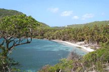 spring beach bequia